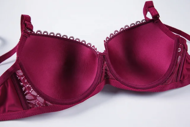 Elegant Daily Wear Padded Push-up Under Wire Full Coverage Bra